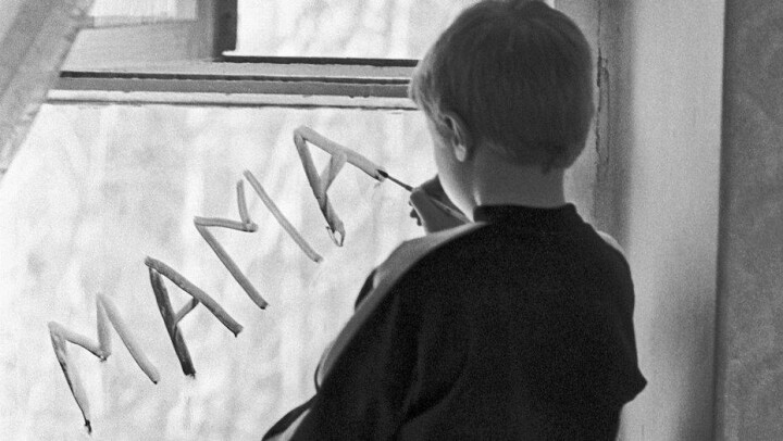 За год банк детей-сирот РК помог устроить в семьи больше трёх тысяч человек