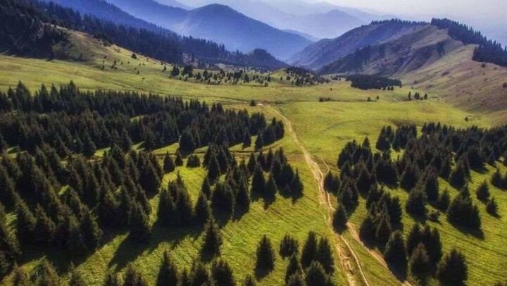Байбек предложил отложить проект курорта "Кокжайлау"