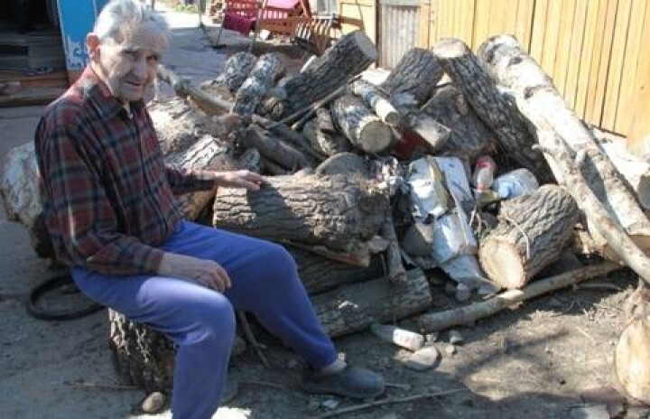 Ветерану из Усть-Каменогорска вместо дров подарили пни и бытовой мусор