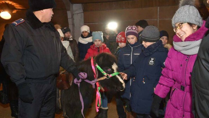 Обещанных акимом СКО пони получили особенные дети перед Новым годом