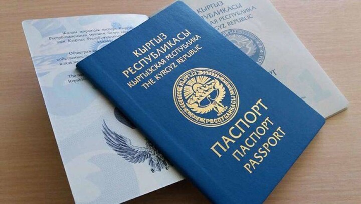 ООН: Кыргызстан первым в мире покончил с проблемой отсутствия гражданства