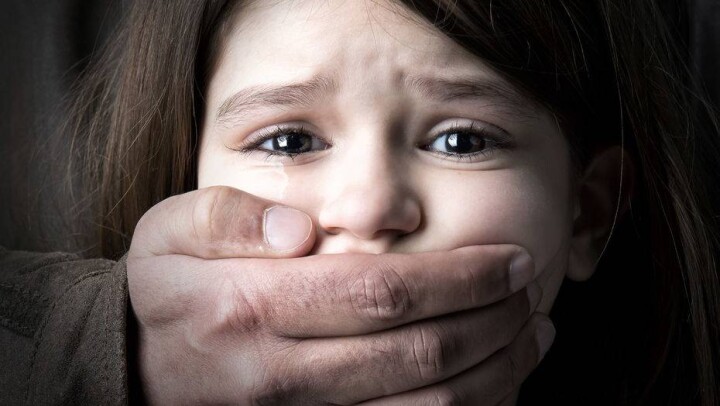 Напавшего на 8-летнюю девочку жителя Темиртау осудили на 18 лет 