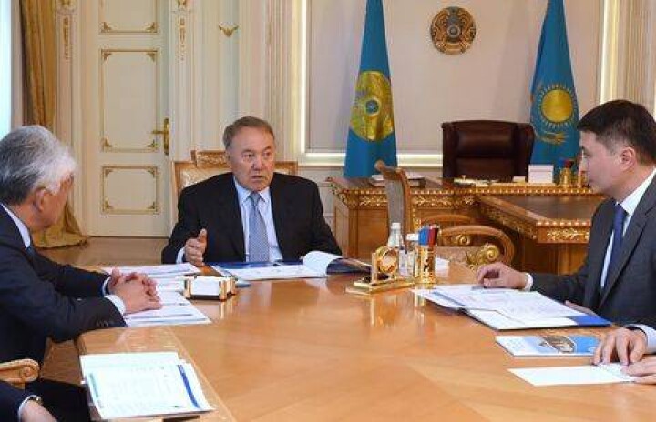 Нурсултан Назарбаев встретился с руководством Фонда Первого Президента
