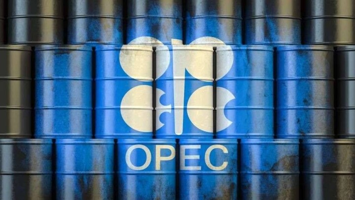 Пандемия скажется на спросе на нефть сильнее, чем ожидалось. ОПЕК ухудшила прогноз