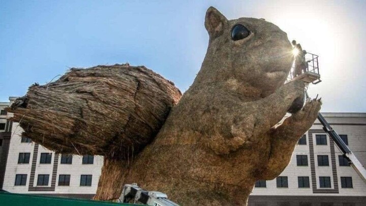 Алматинскую белку оставят на "Атакенте", если её приведут в надлежащий вид до праздников