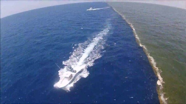 Три "мёртвые" зоны нашли учёные в Каспийском море