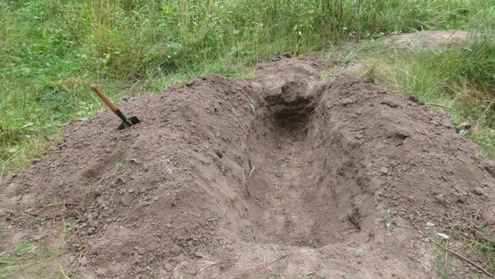 Троих исчезнувших в Алматинской области братьев закопали в песке