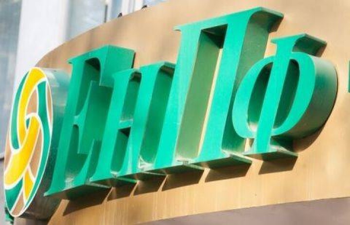 Депутаты просят разъяснений по поводу сохранности пенсионных накоплений