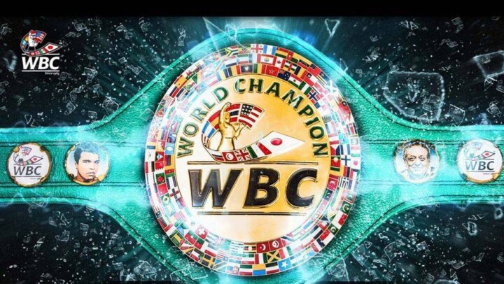 WBC выбирает дизайн пояса к бою Головкин - Альварес