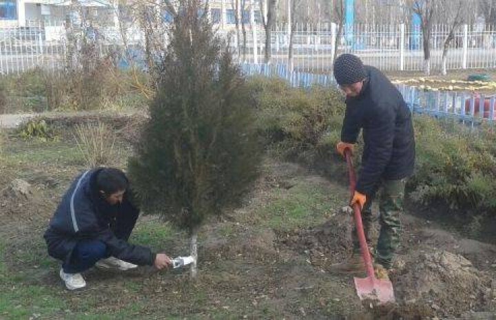 Убийство волчат виновные "отработали" в Жамбылской области 