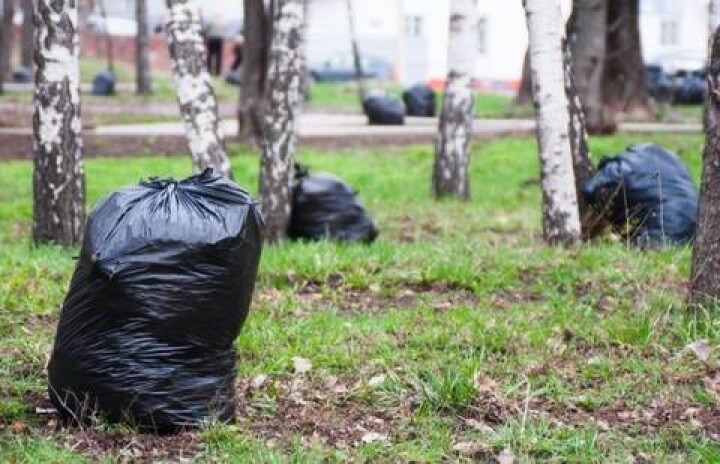 Учителя Алматинской области жалуются на привлечение к общественным работам 