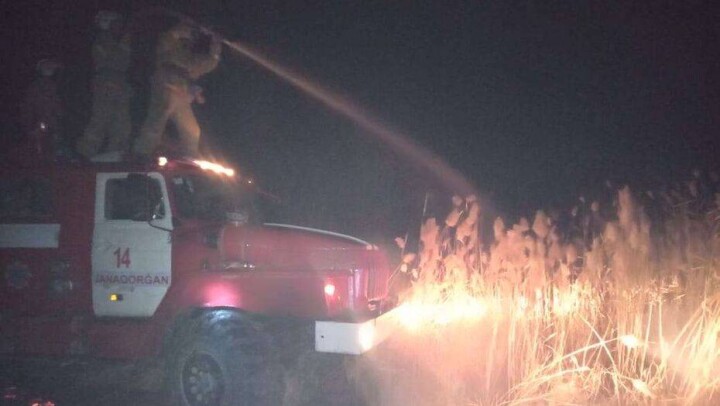 В Кызылординской области в степном пожаре погибло 700 голов овец
