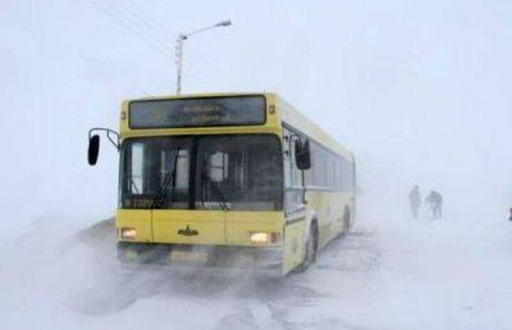 Более полусотни граждан Кыргызстана эвакуировали в Акмолинской области