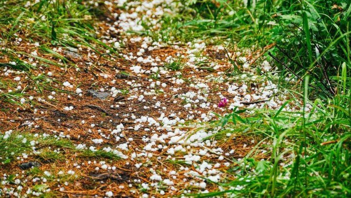 Прогноз погоды на 22 июня: на севере Казахстана местами возможен град