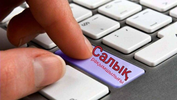 2019 жылдың наурыз айынан бастап салық амнистиясы басталады. Оған кім ілігеді?