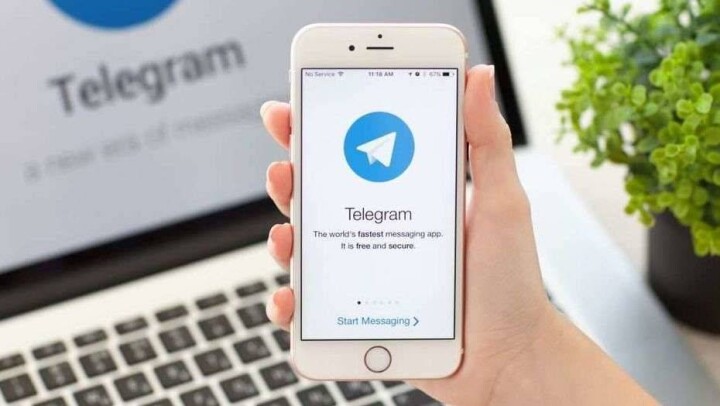 Қазақстанда бірқатар диспансерлердің анықтамасын Telegram арқылы тегін алуға болады. Жаңалықтарға шолу