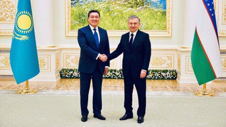 Аскар Мамин встретился с президентом Узбекистана