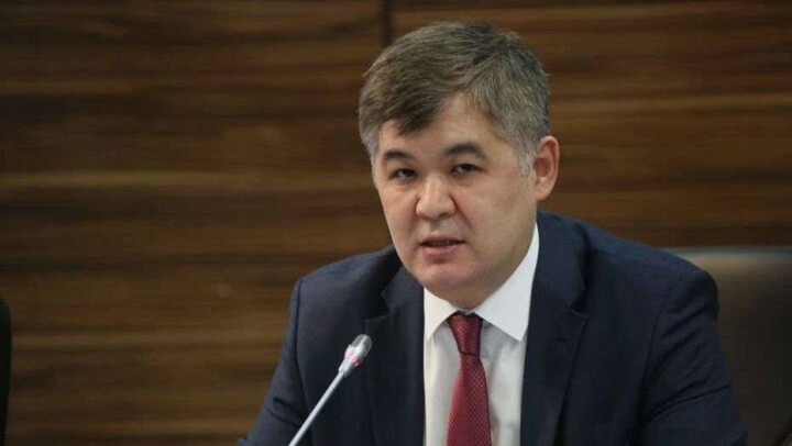 Елжану Биртанову поставили диагноз "пневмония". Обязанности главы Минздрава исполняет Лязат Актаева