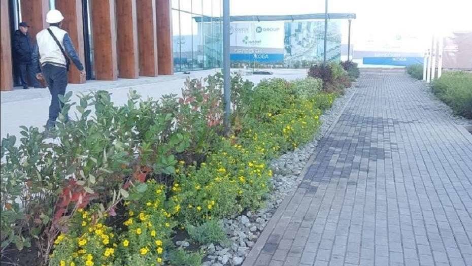 В Астане высадили 2500 саженцев многолетних растений, приспособленных к местному климату