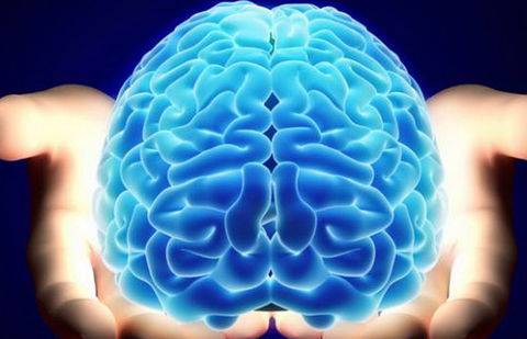 Фото с сайта ziv.ru