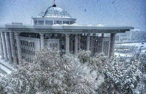 Фото пользователей Instagram