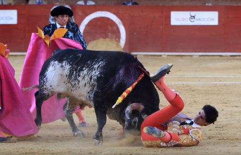 Скриншот с YouTube