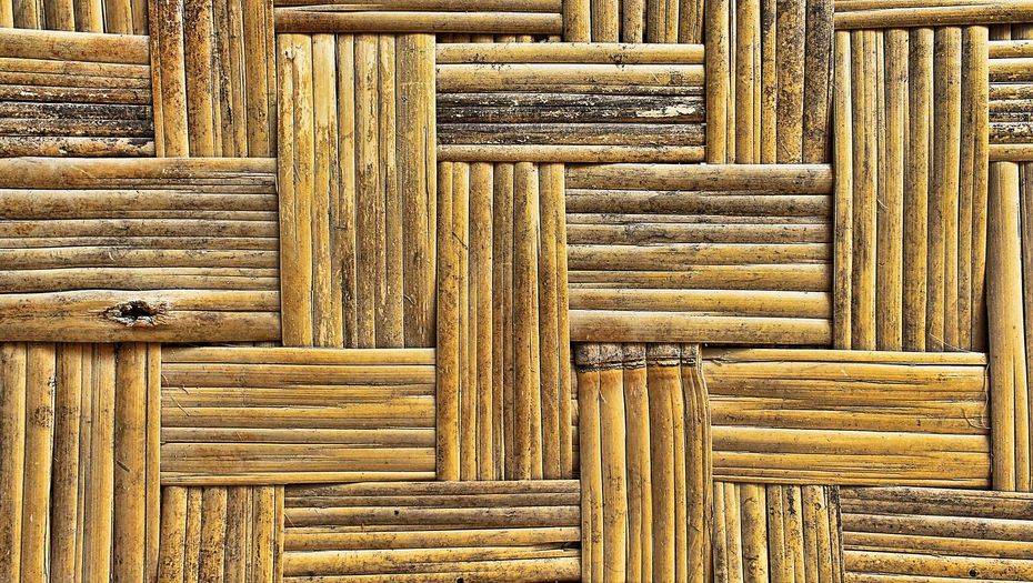 Порно шырша әншісі Клитор мен есекті жалаңыз