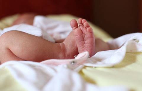 Фото с сайта yablor.ru