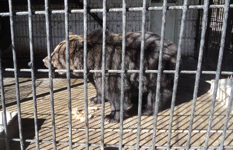 Фото с сайта informburo.kz