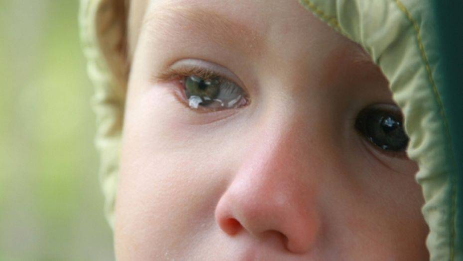 Фото с сайта youtube.com