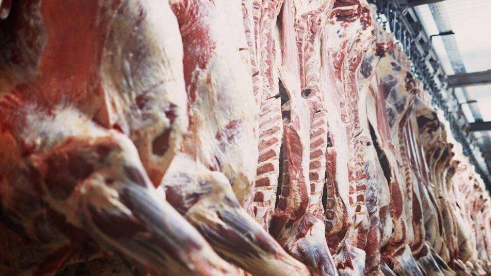 Казахстанские фермеры ищут новые рынки сбыта на случай запрета ввоза мяса в Россию