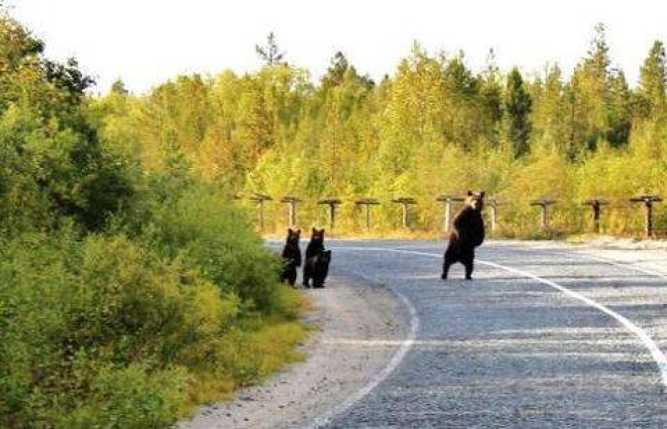Фото с сайта horoshie-shutki.ru