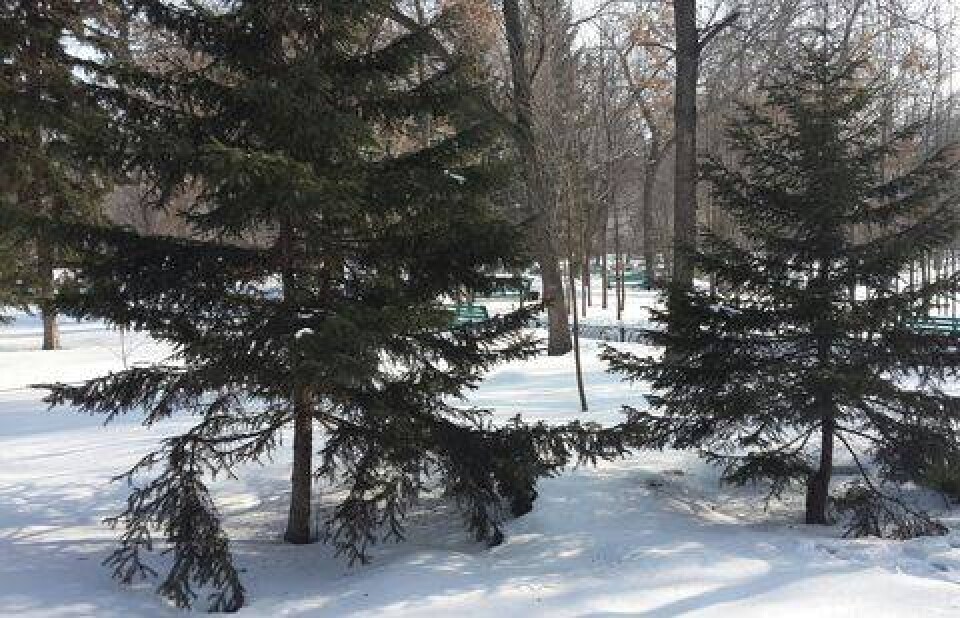 Фото informburo.kz