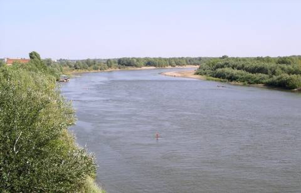 Фото с сайта nik-rech.narod.ru