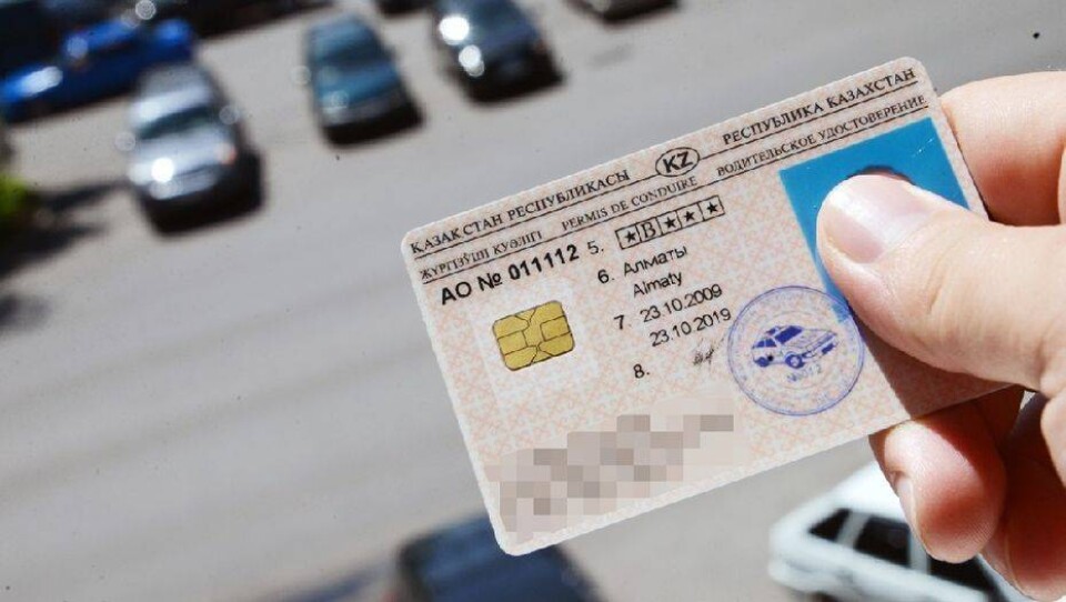 Опрос показал, что покупка водительских прав в Казахстане – обычное дело
