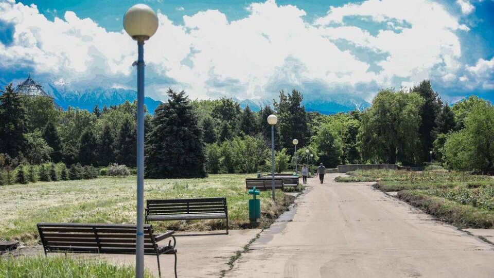 Фото Алмаза Толеке