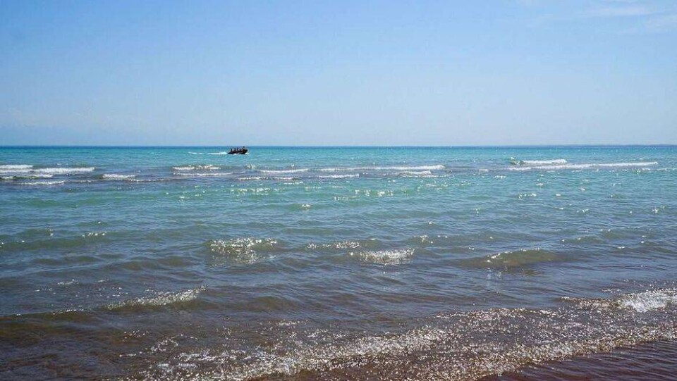 Бассейновая инспекция: В Капшагае достаточно питьевой воды, необходимости в бурении скважин нет