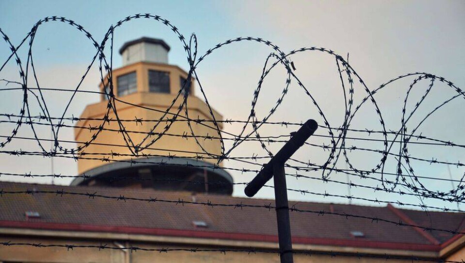Начальника колонии "Чёрный беркут" задержали по подозрению в получении взятки за покровительство осуждённому 