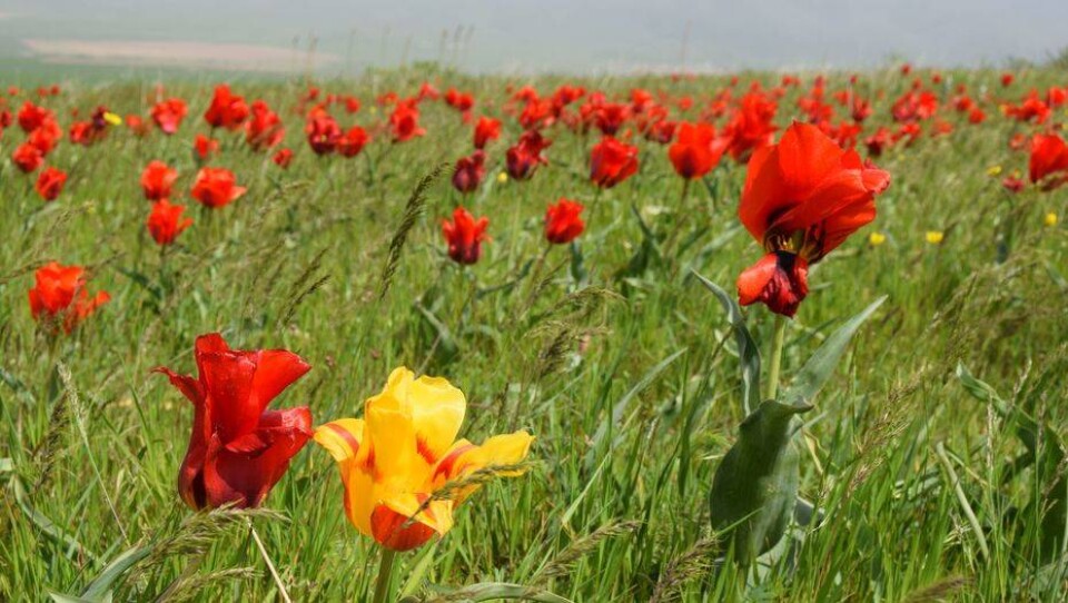 Фото informburo.kz