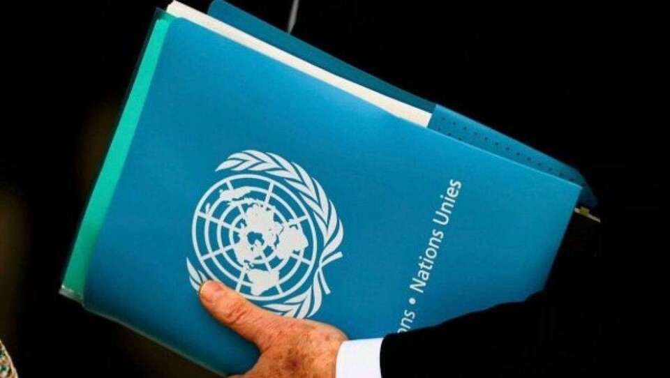 Текст секретной директивы ООН о помощи Сирии опубликовали в СМИ