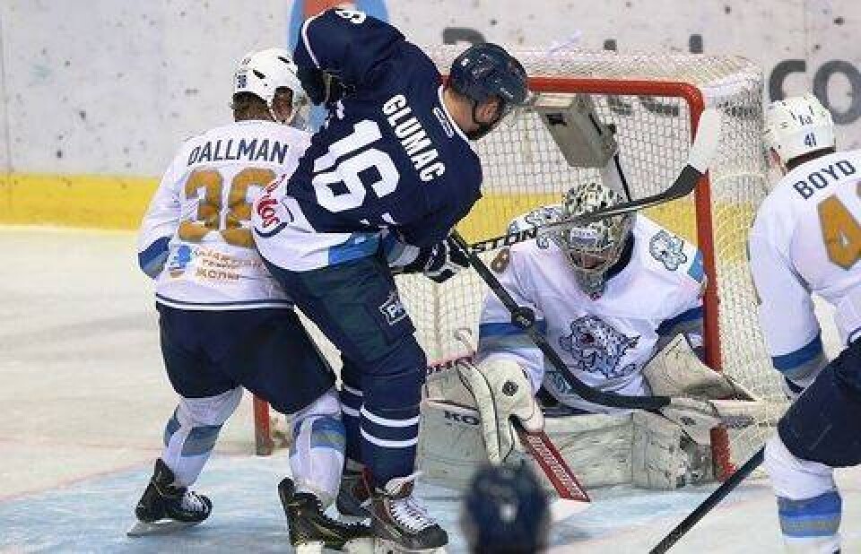 Фото medvescak.com