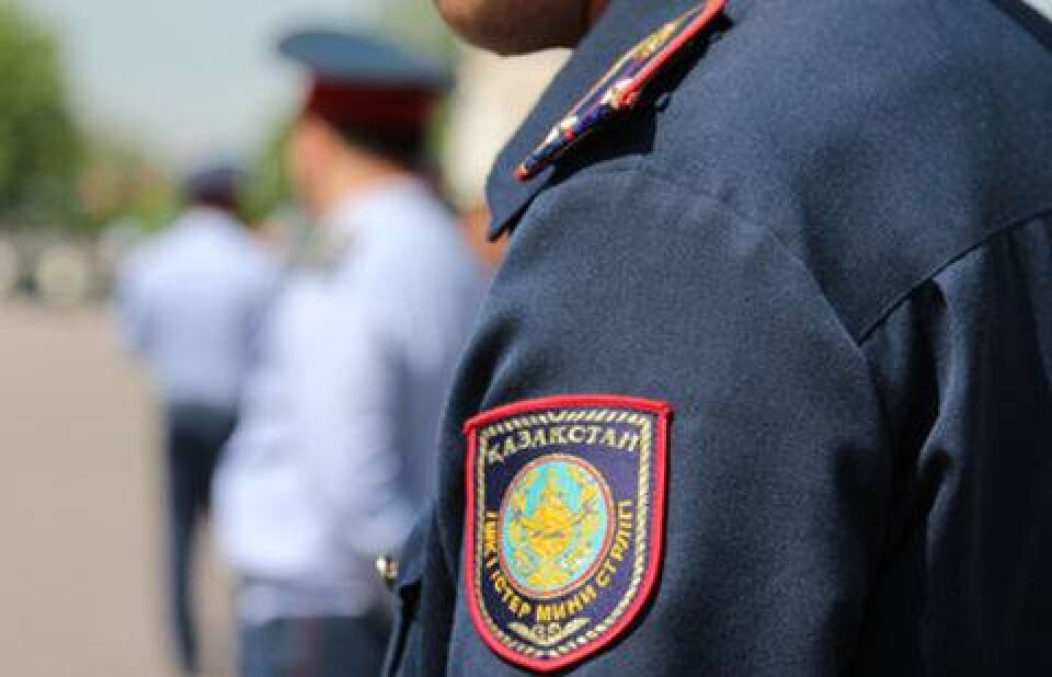 Фото ortcom.kz