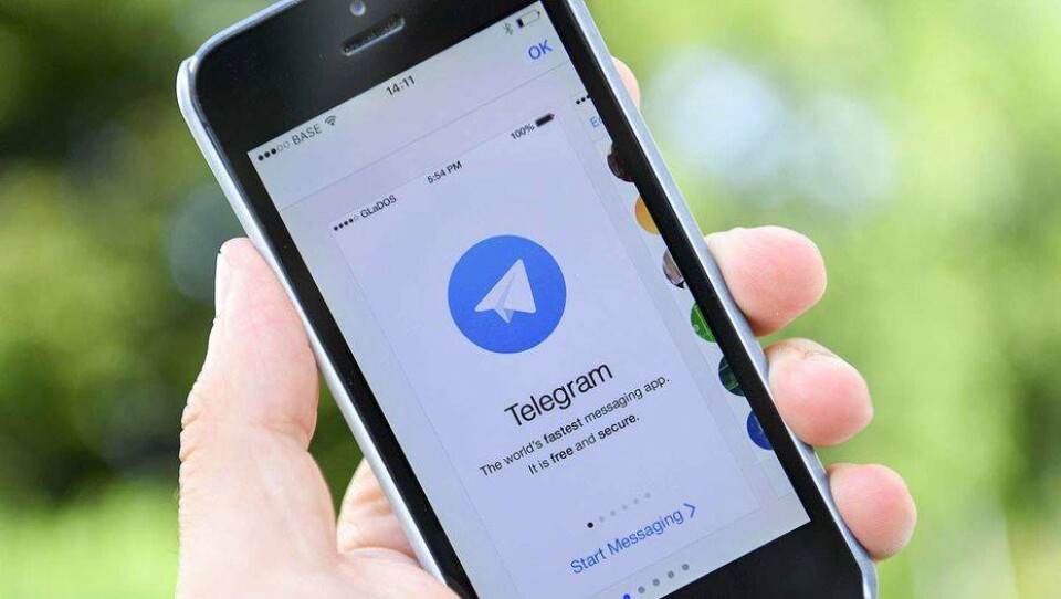 Справки из псих- и наркодиспансеров стали доступны через бота в Telegram