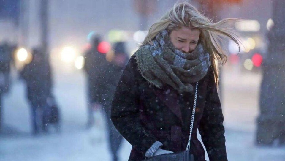 Погода на 26 февраля: в двух областях объявлено штормовое предупреждение