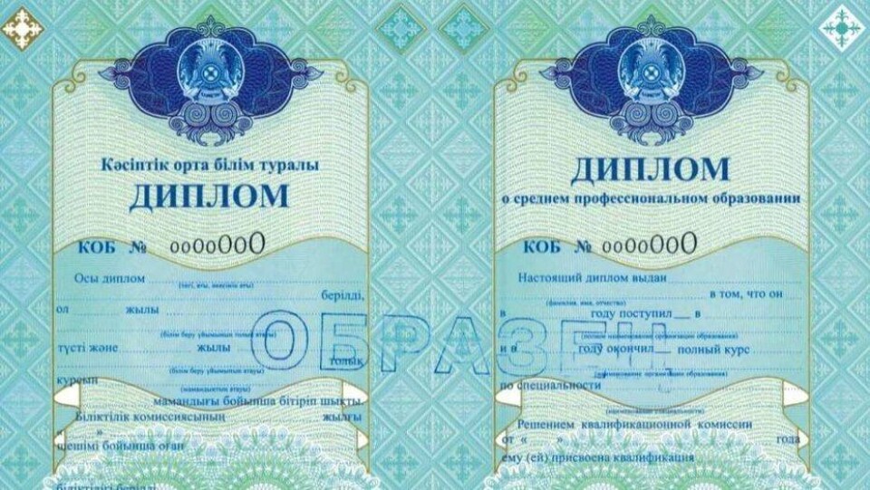 Павлодарские колледжи незаконно продавали дубликаты дипломов