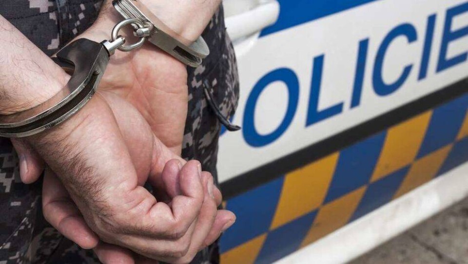 Спецслужбы Польши задержали радикалов, готовивших нападения на мечети