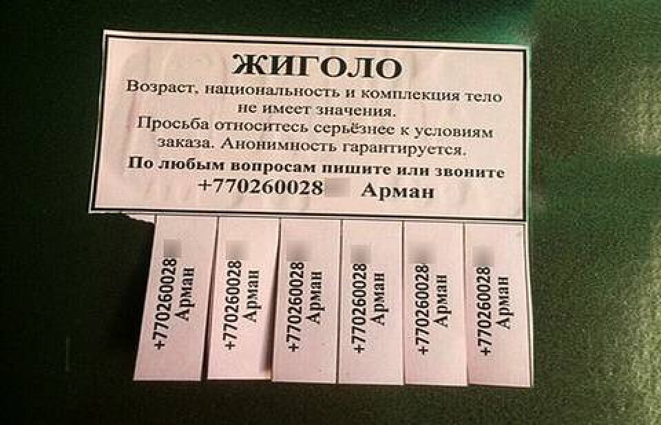 Фото Ирины Гончаровой