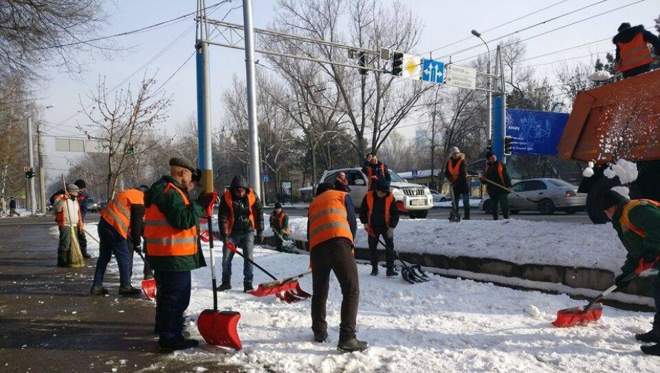 В преддверии Универсиады в Алматы грязный снег засыпали чистым