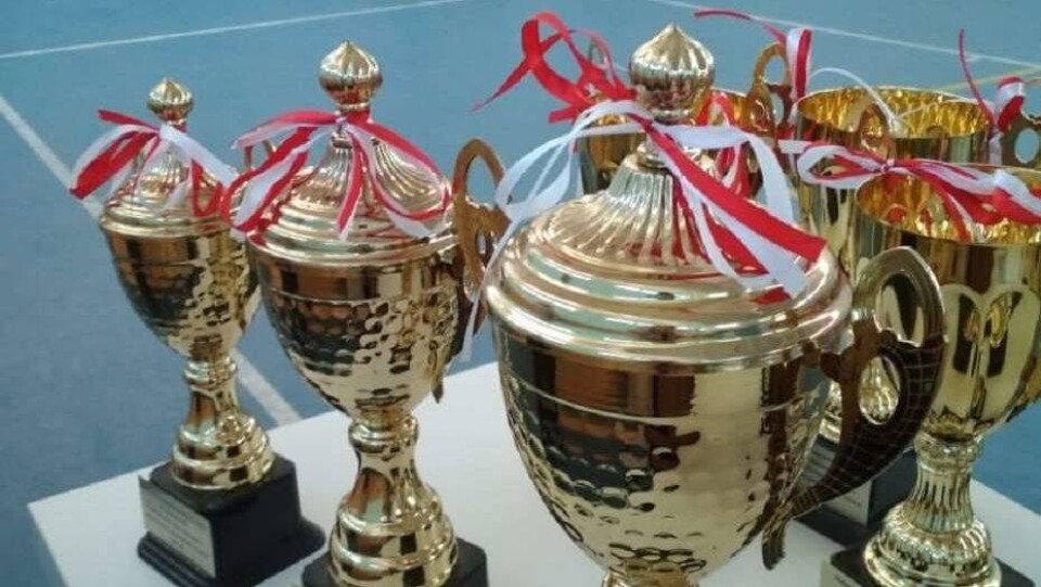 Почётные награды – в копилку спортивных побед 