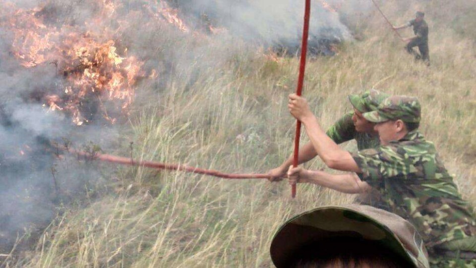 Три человека погибли, семеро получили ожоги при тушении пожара в Алматинской области